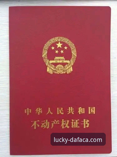大发彩票注册安装全流程实用指南——从下载到新手福利一步到位